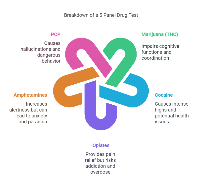 Common Substances Included in a 5 Panel Drug Screening