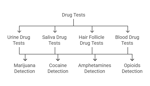 Common Types of Drug Tests