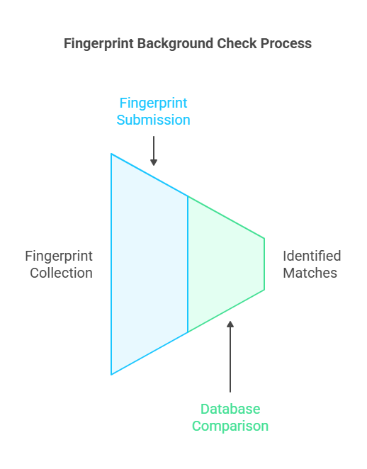 How Do Fingerprint Background Checks Work?