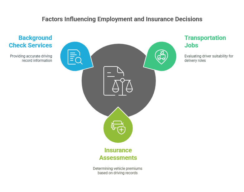 How Driving Record Background Checks Are Used