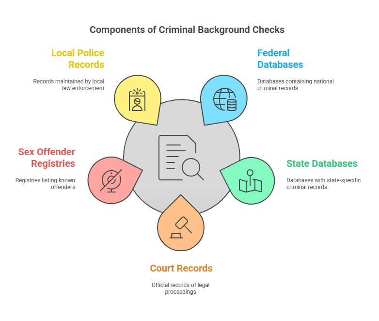 What Are Criminal Background Checks and Common Errors Found in Reports?