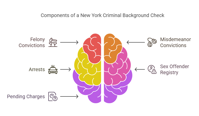 What Information is Included in a New York Criminal Background Check?