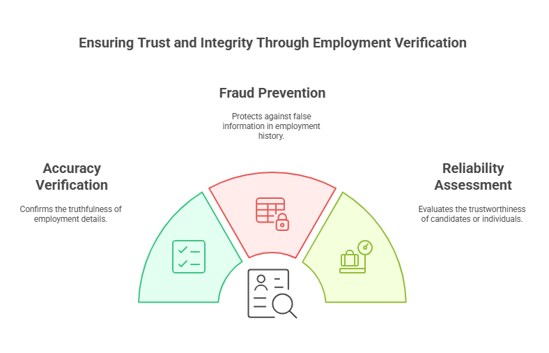 What is Employment Verification