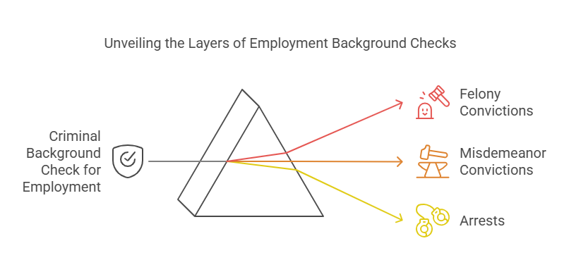 What is a Criminal Background Check for Employment?