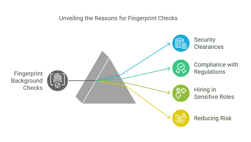 Why Do Businesses Use Fingerprint Background Checks?