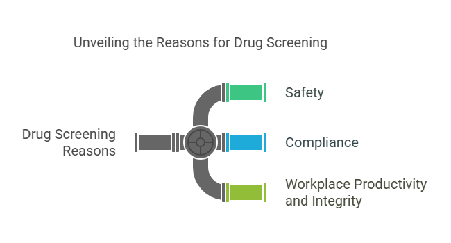 Why Do Employers and Organizations Conduct Drug Screening?