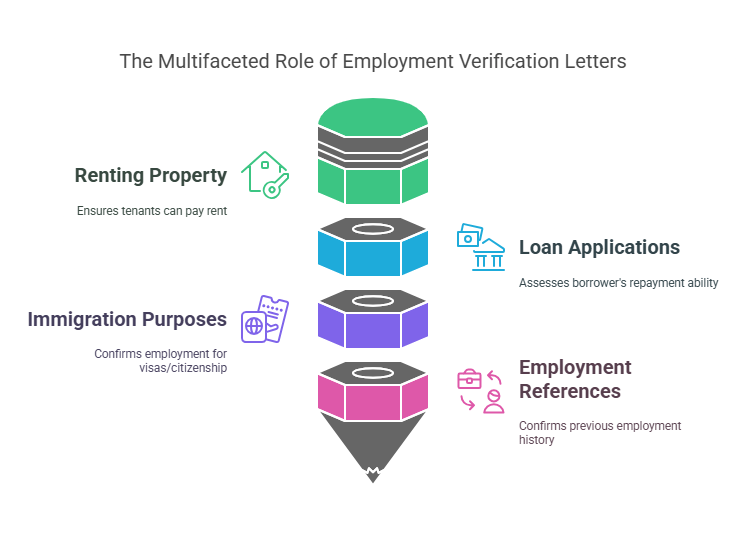 Why Employment Verification Letters are Important