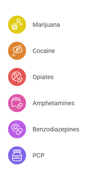 Common Drugs Tested in Employment Drug Screenings