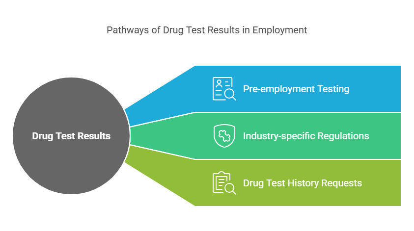 Do Employers Have Access to Drug Test Results from Previous Jobs?