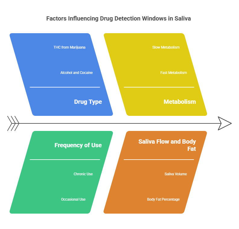 Factors Affecting Detection Windows