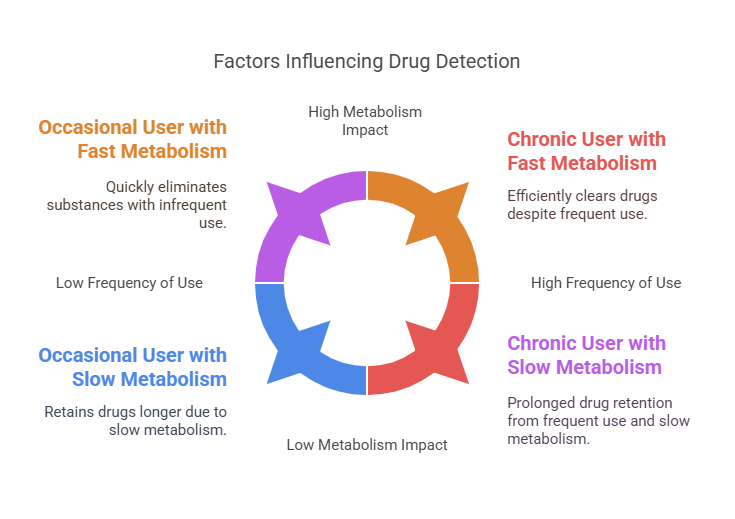 Factors Influencing Detection in Pre-Employment Drug Tests