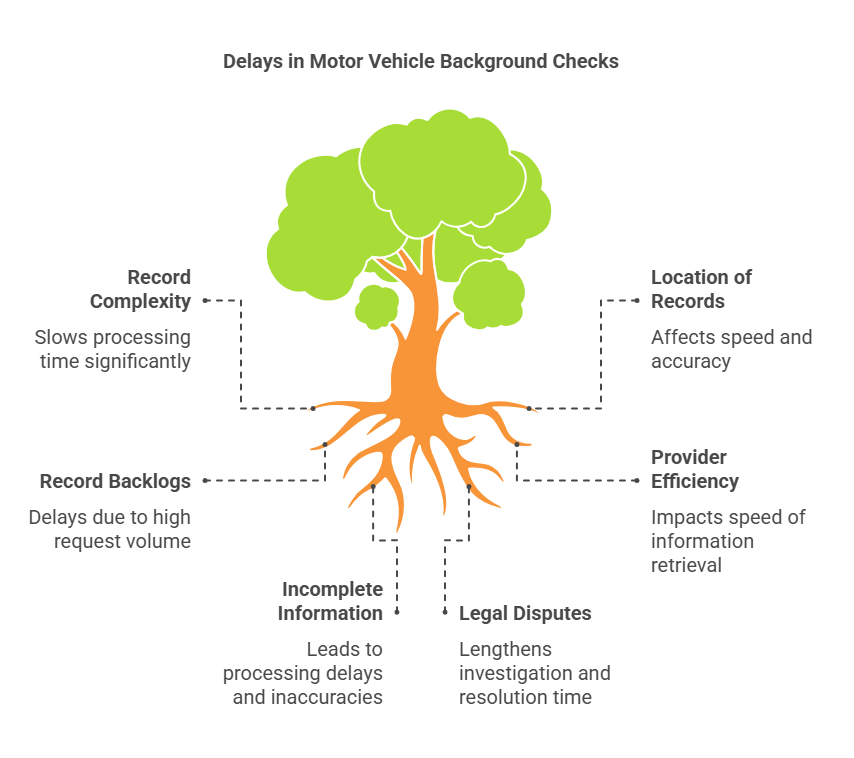 Factors That Affect the Accuracy and Speed of Motor Vehicle Background Checks