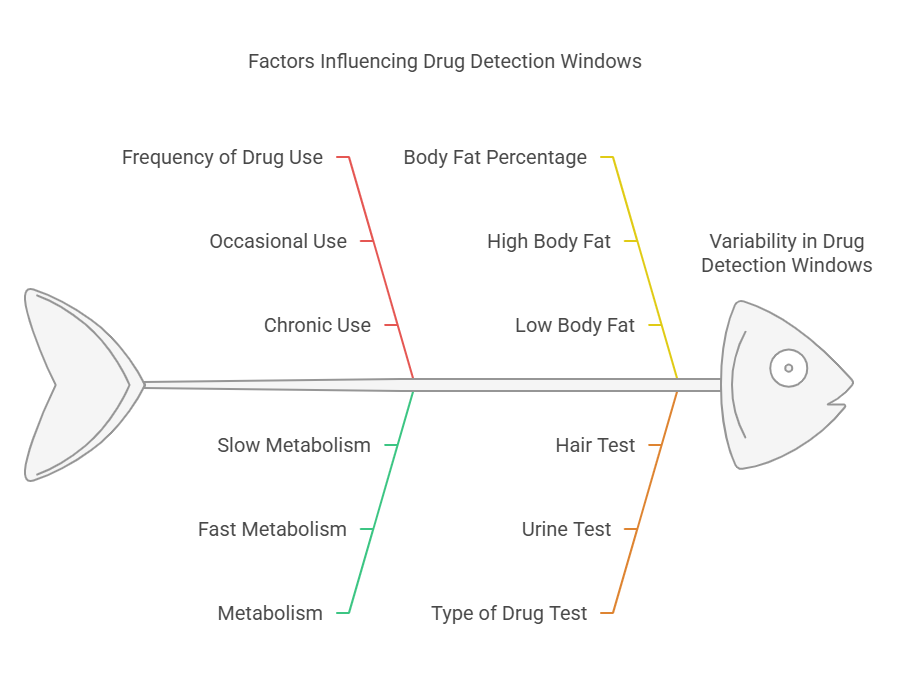 Factors That Affect the Detection Window