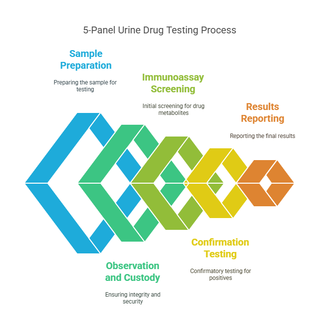 How Does the 5 Panel Urine Drug Test Work?