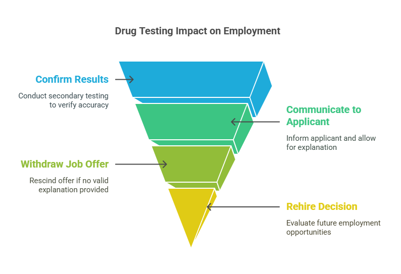 How Drug Testing Results Impact Employment Decisions