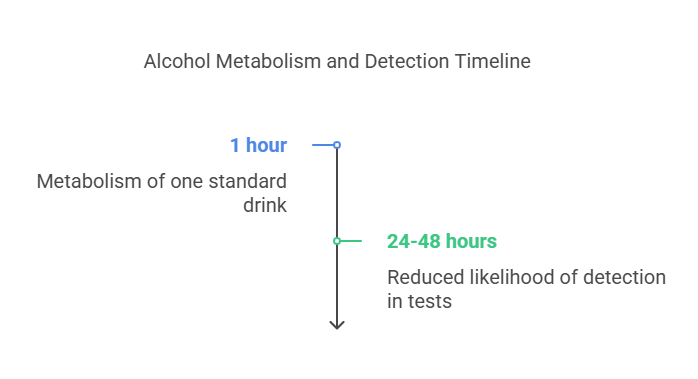 How Long Does Alcohol Stay in Your System?