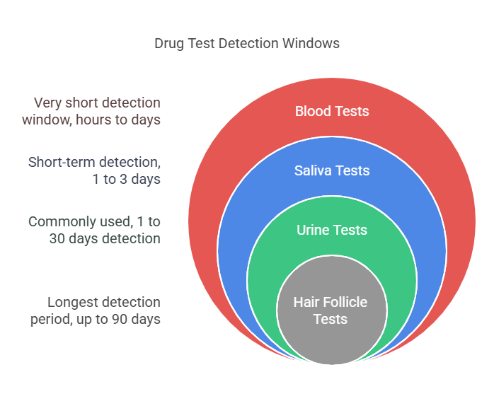 How Long Does It Typically Take to Pass a Drug Test?