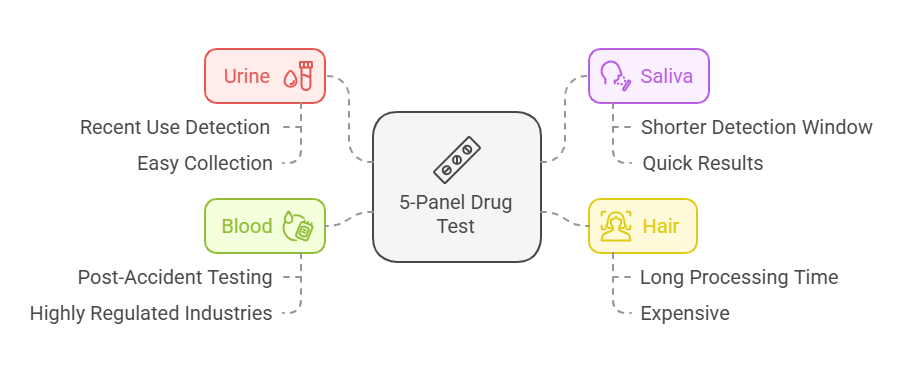 How the 5-Panel Drug Test Works