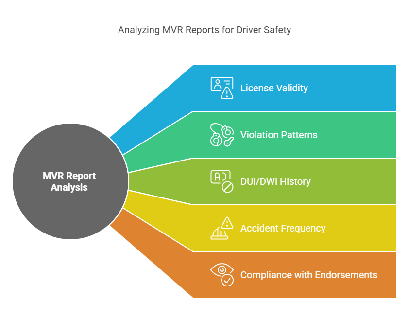 Key Details to Look For in an MVR Report