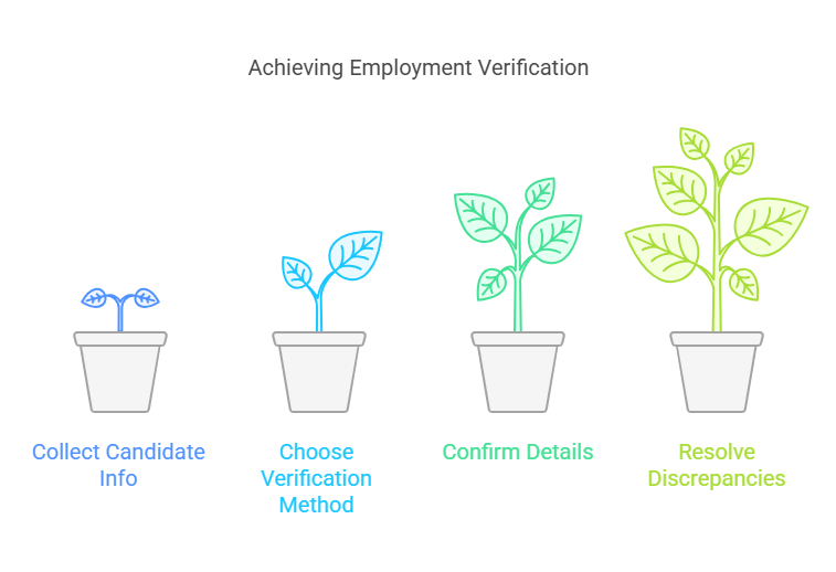 How Does the Employment Verification Process Work?