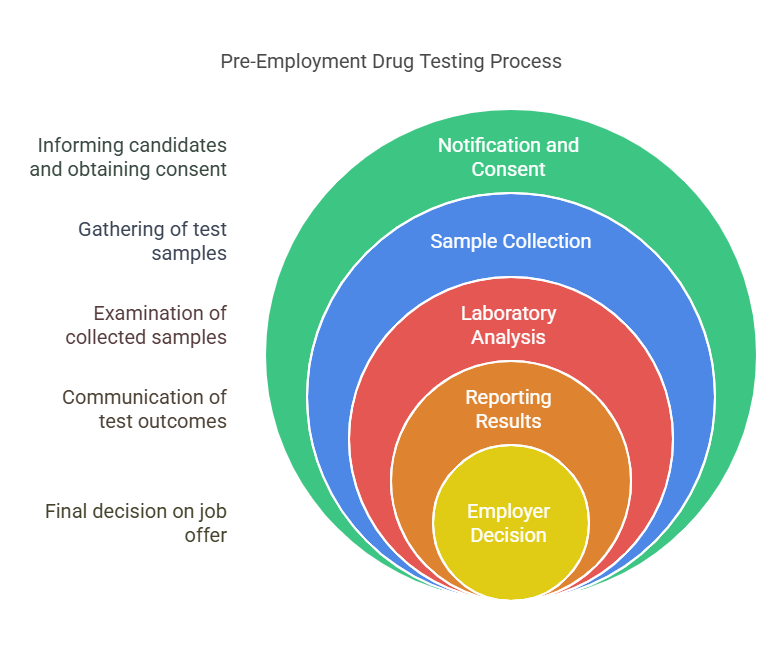 Step-by-Step Process of Pre-Employment Drug Testing