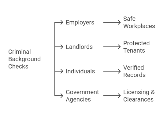 The Importance of Criminal Background Checks in Hawaii