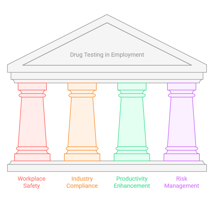 The Importance of Drug Testing in Employment