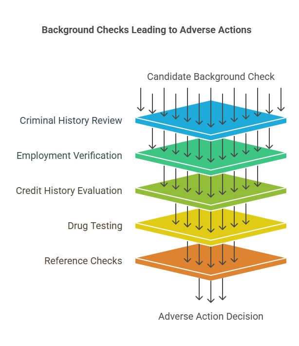 The Role of Background Checks in Adverse Actions