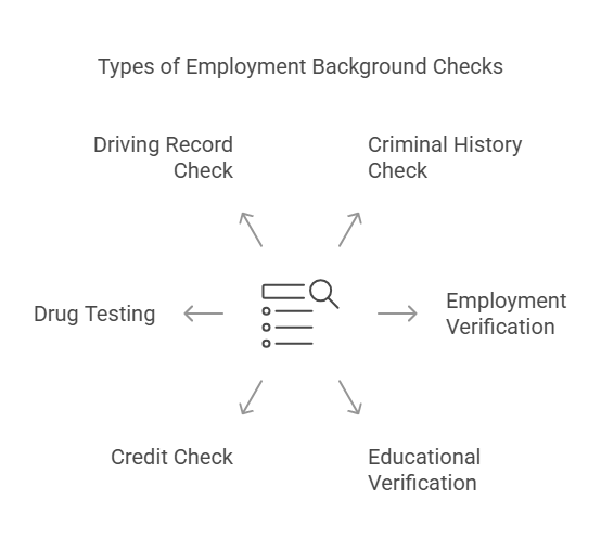 Types of Background Checks in Employment