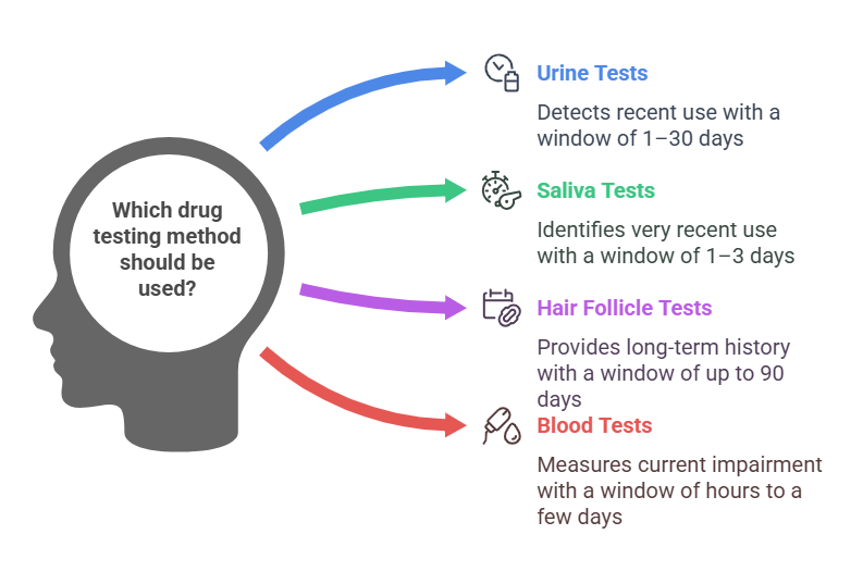 Types of Drug Tests and Their Detection Windows