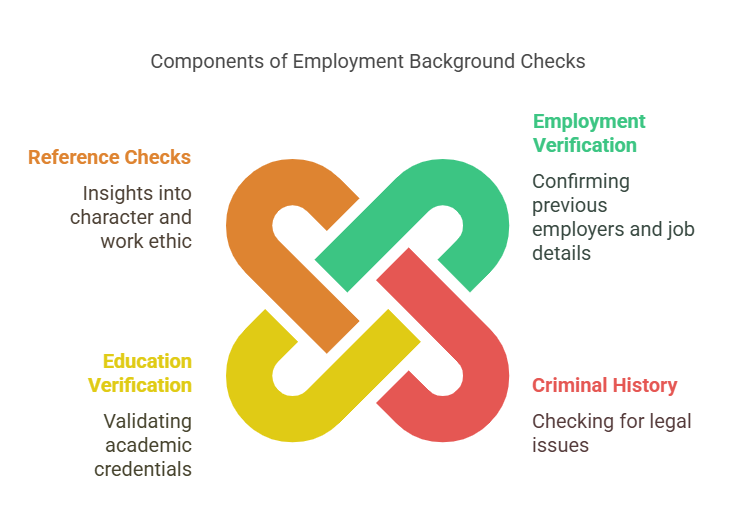 What Are Background Checks for Employment?