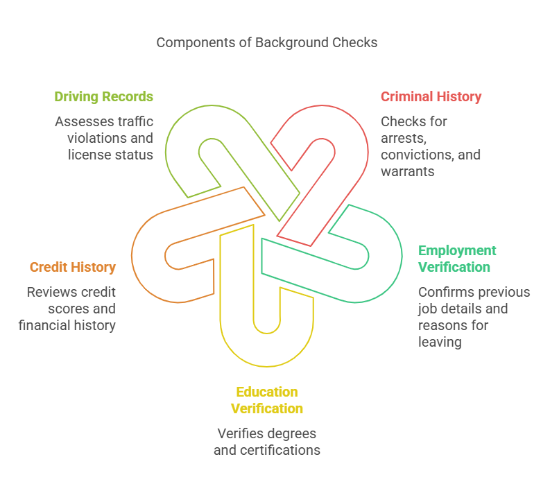 What Do Background Checks Typically Include?