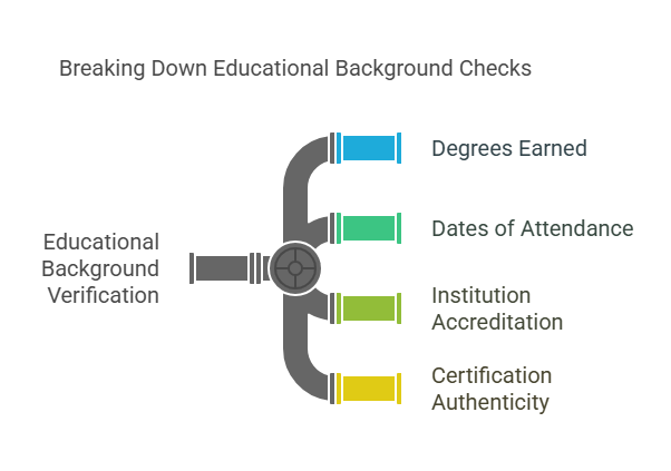 What Do Employers Verify in an Education Background Check?