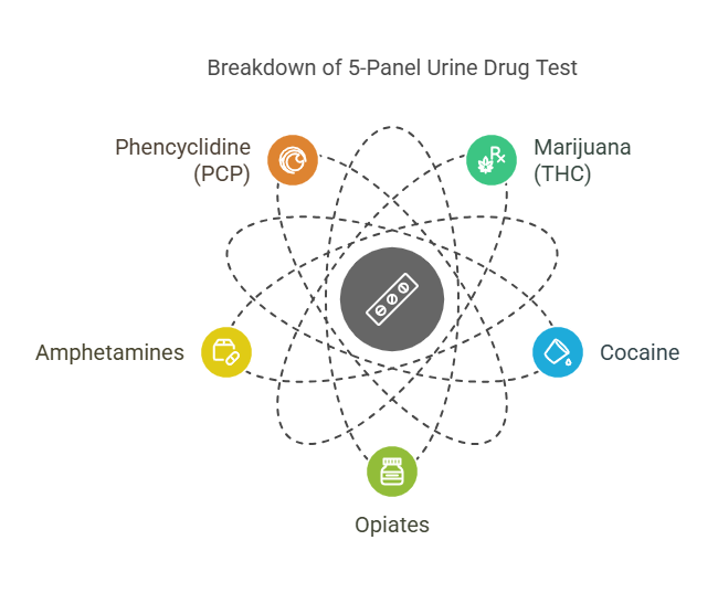 What Drugs are Tested for in the 5 Panel Urine Drug Test?