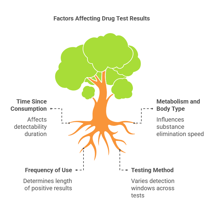 What Factors Impact Drug Test Results?