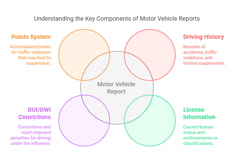 What Information Does an MVR Contain?