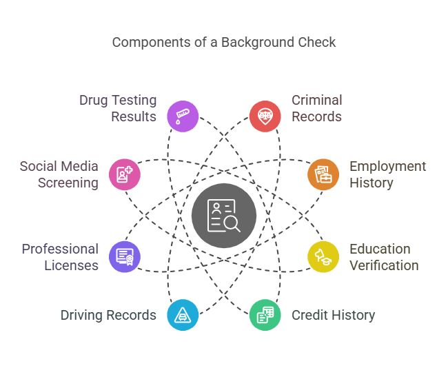 What Information Is Typically Included in a Background Check?