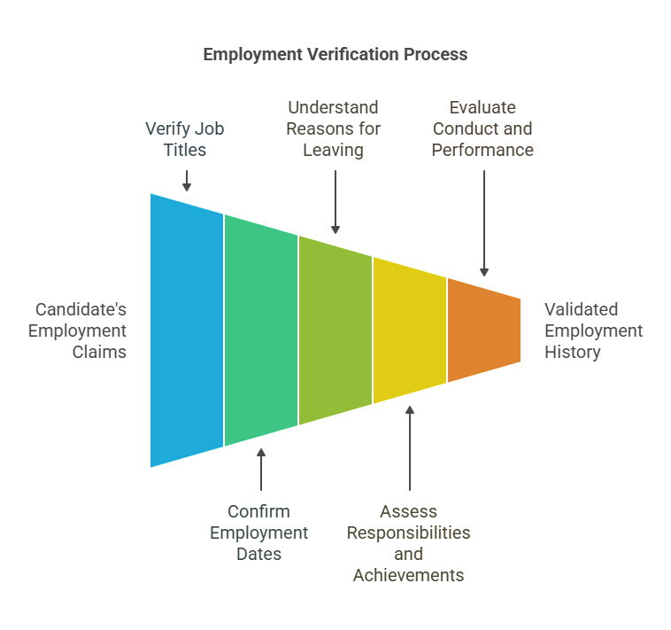 What Information is Typically Verified?