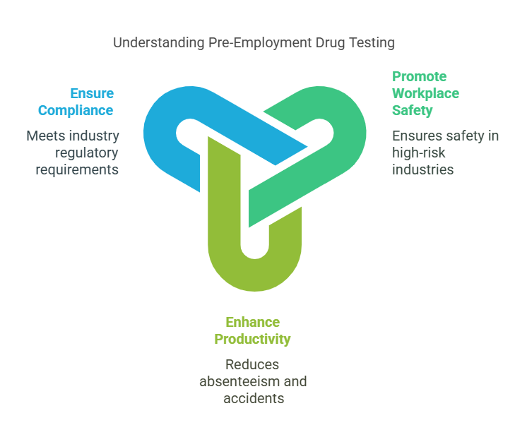 What Is Pre-Employment Drug Testing?