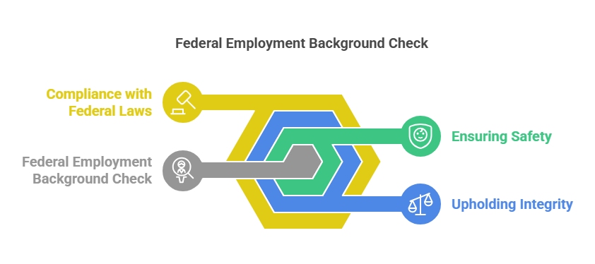 What Is a Federal Employment Background Check?