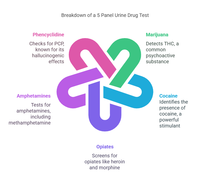 What is a 5 Panel Urine Drug Test?