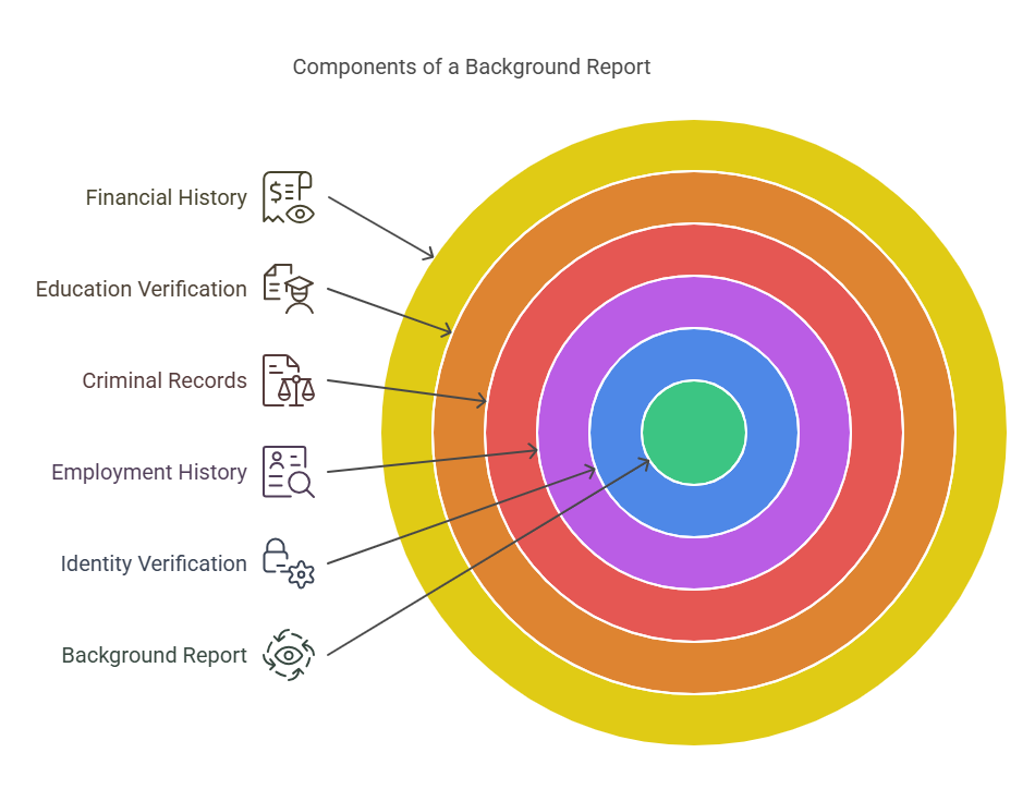 What is a Background Report?