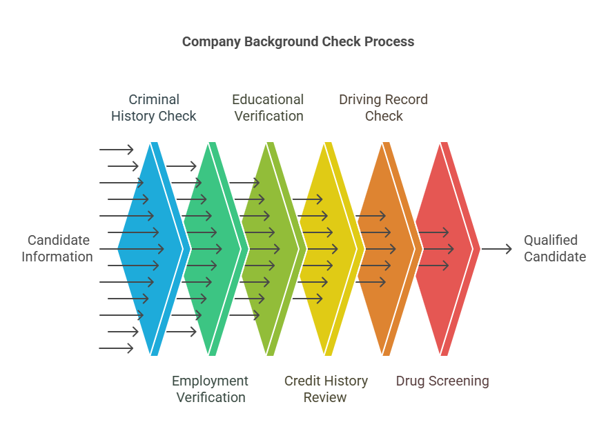 What is a Company Background Check?