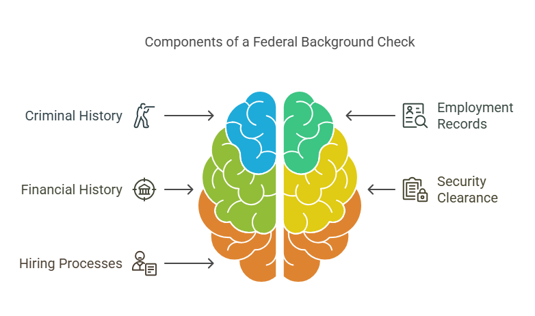 What is a Federal Background Check?