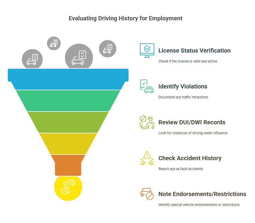 What is an MVR Check?