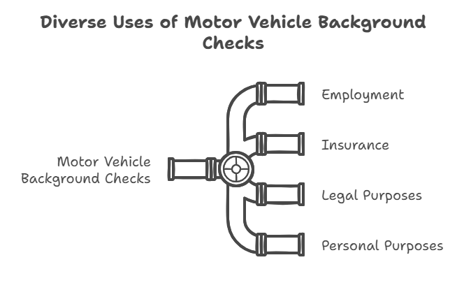 When and Why Is a Motor Vehicle Background Check Used?