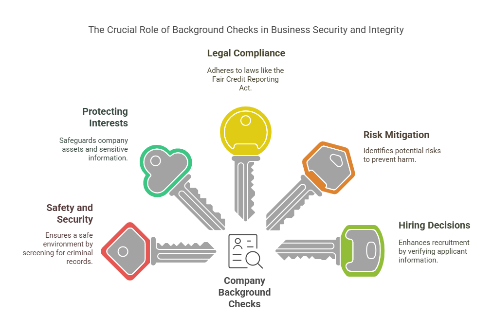 Why Are Company Background Checks Important?