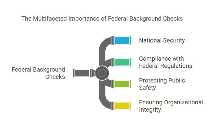 Why are Federal Background Checks Important?