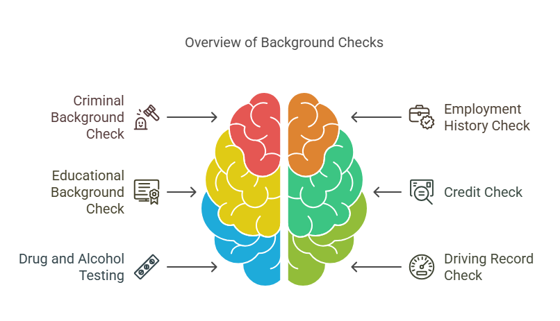 What is a Background Check?